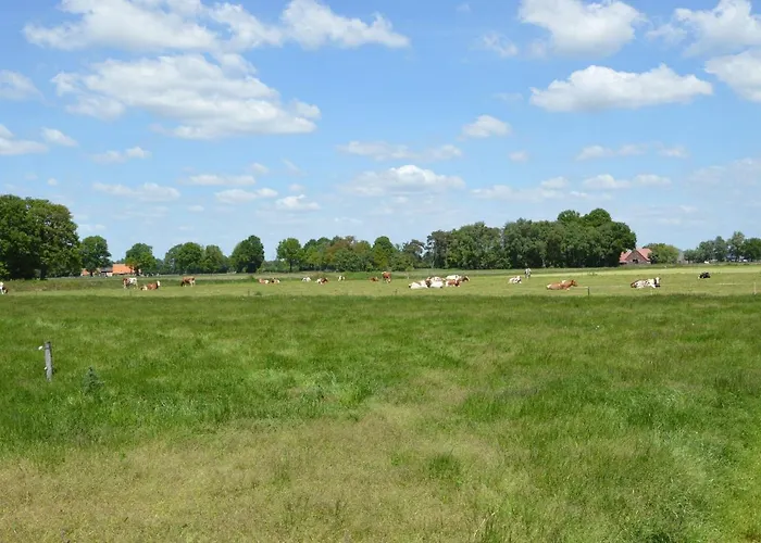Pretty Farmhouse In Haaksbergen Near Forest